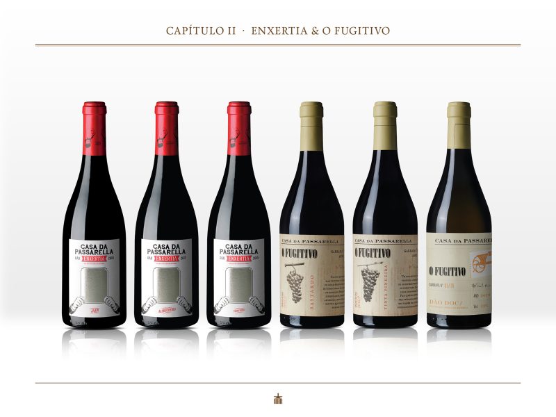 Capítulo II – Enxertia & O Fugitivo